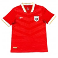 Panama Replica Home Shirt Copa America 2024 Short Sleeve